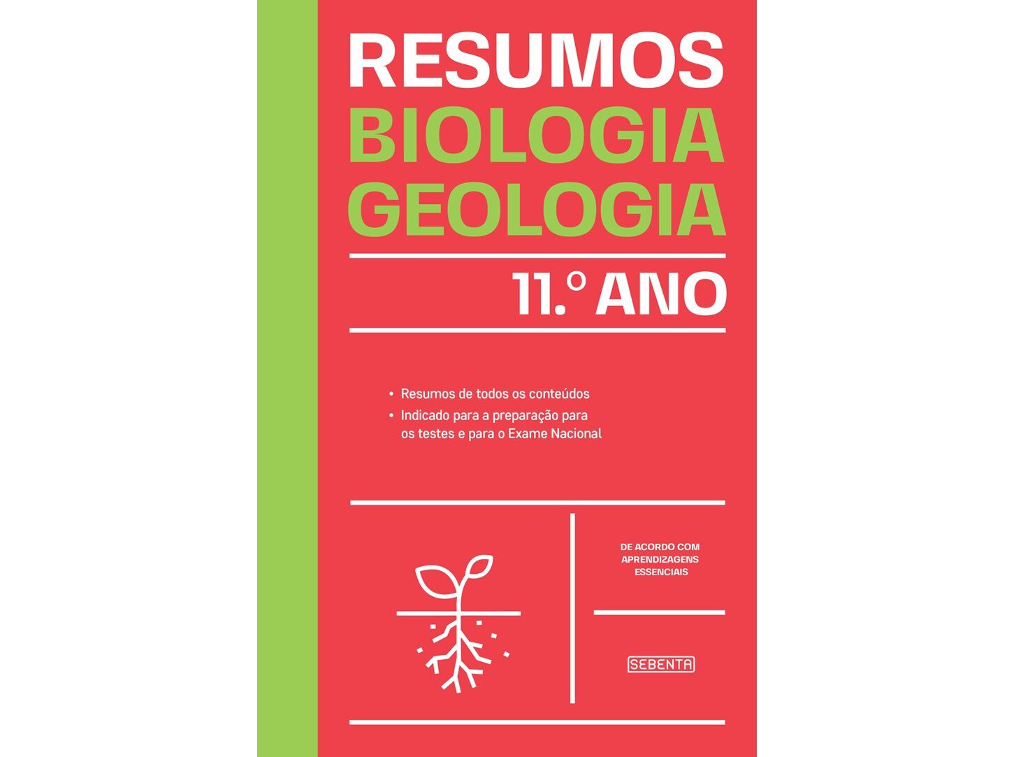 LIVRO RESUMOS BIOLOGIA E GEOLOGIA 11.&ordm; ANO image number 0