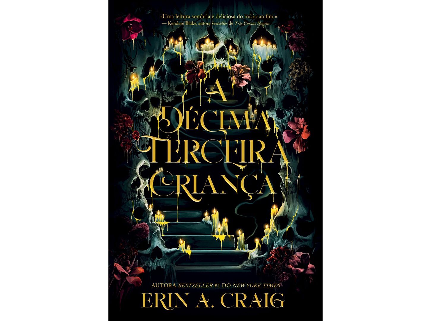LIVRO A D&Eacute;CIMA TERCEIRA CRIAN&Ccedil;A DE ERIN A. CRAIG image number 0