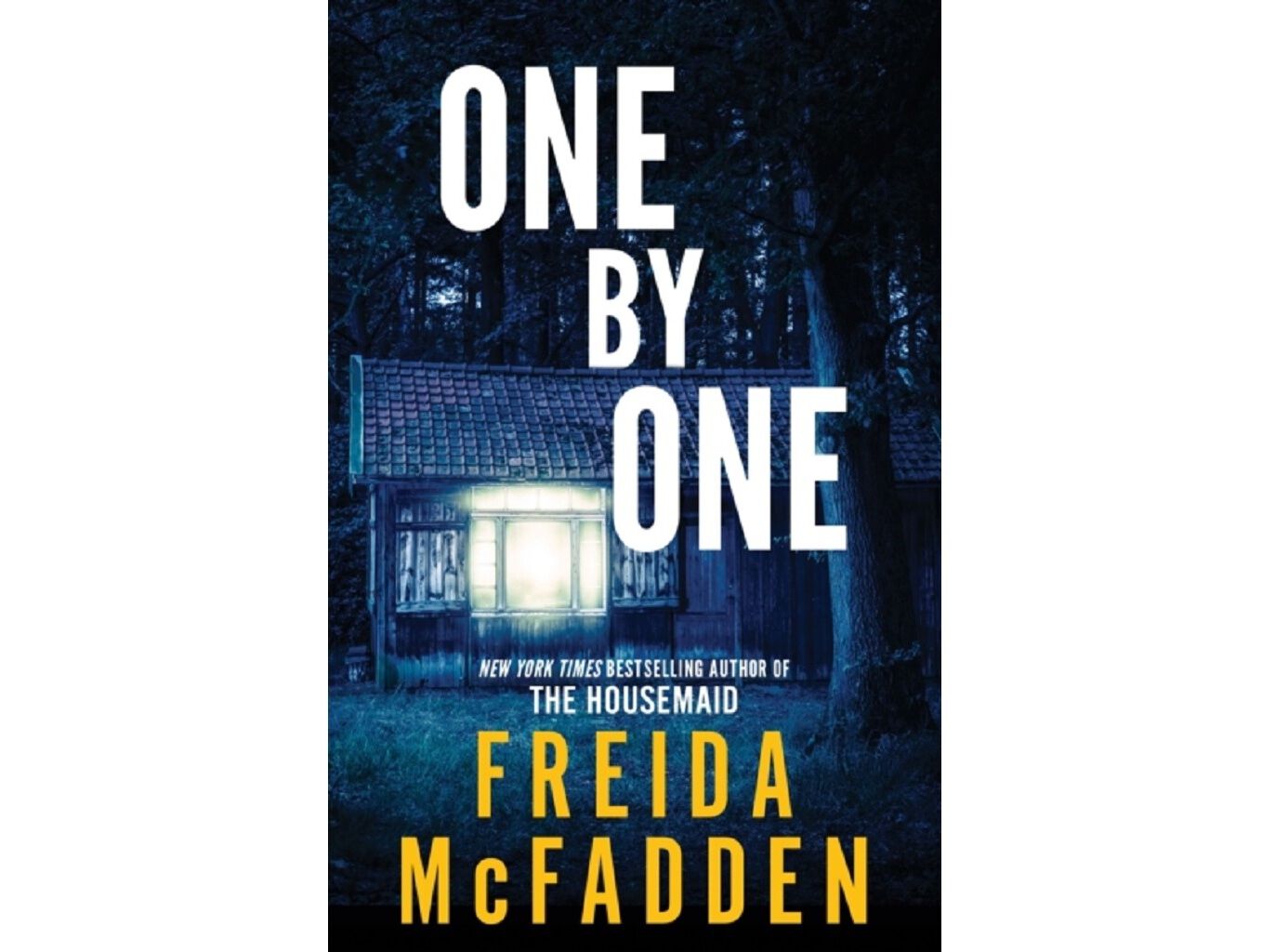 LIVRO ONE BY ONE THE FREIDA MCFADDEN image number 0