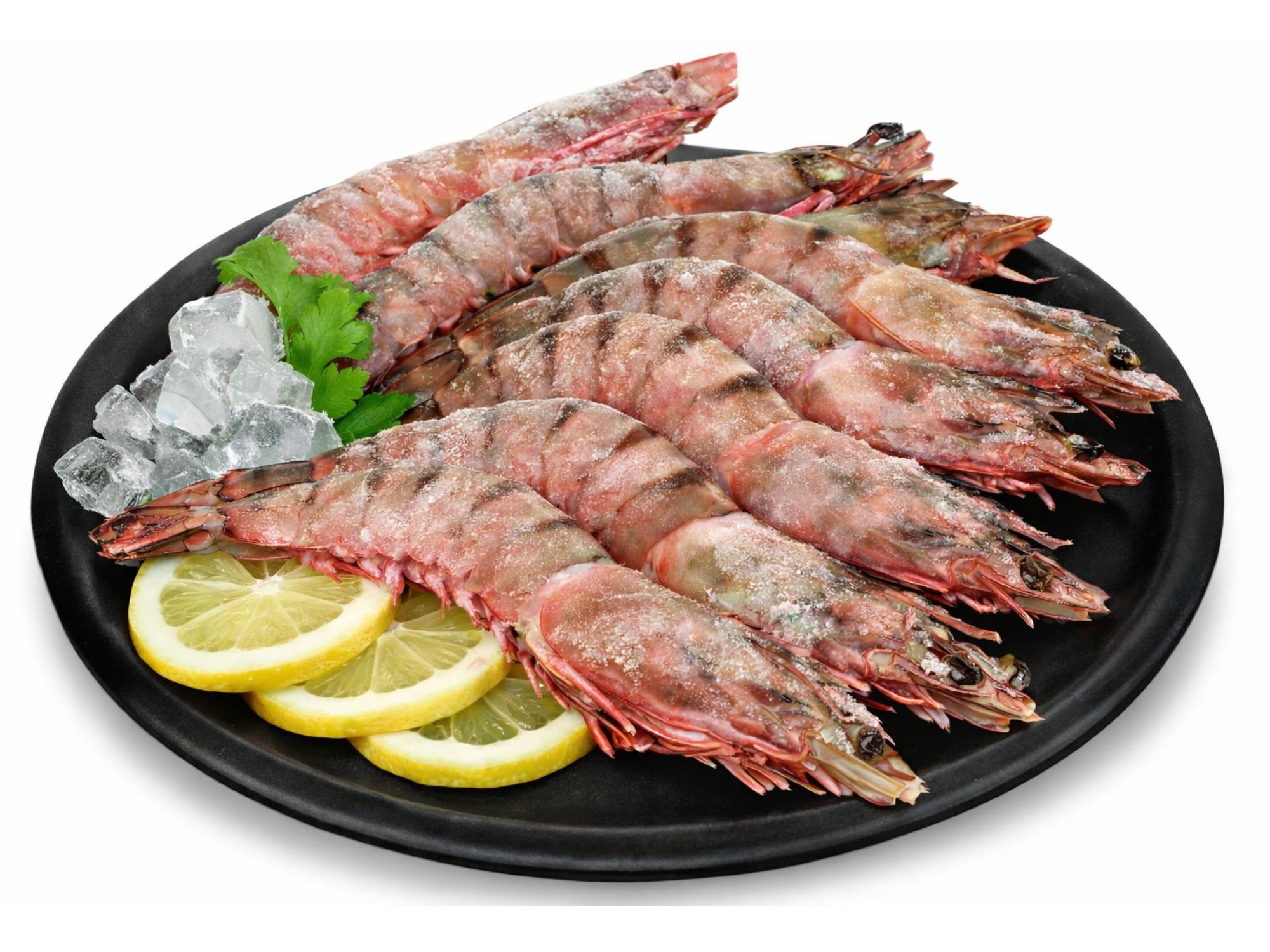 CAMAR&Atilde;O SELVAGEM 10/20 CONGELADO KG