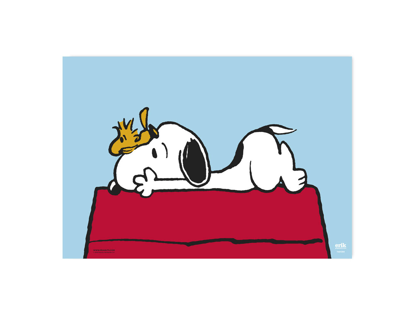 BASE DE SECRET&Aacute;RIA SNOOPY PLASTIFICADA 35X50CM