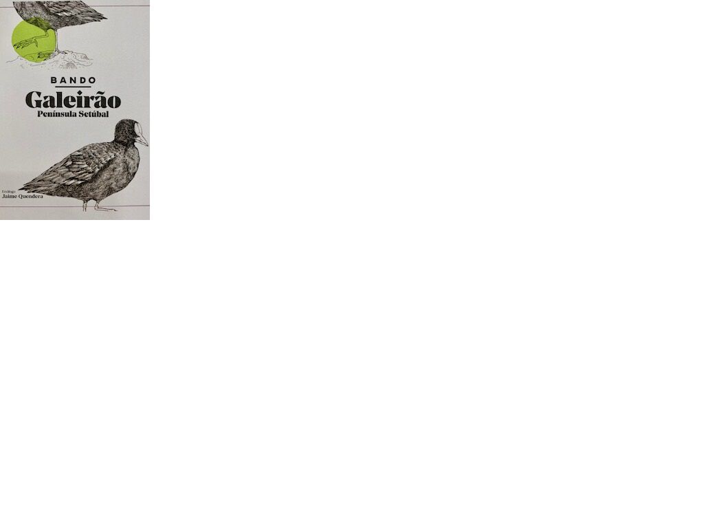 VINHO BRANCO BANDO GALEIR&Atilde;O REGIONAL SET&Uacute;BAL 0.75L image number 1