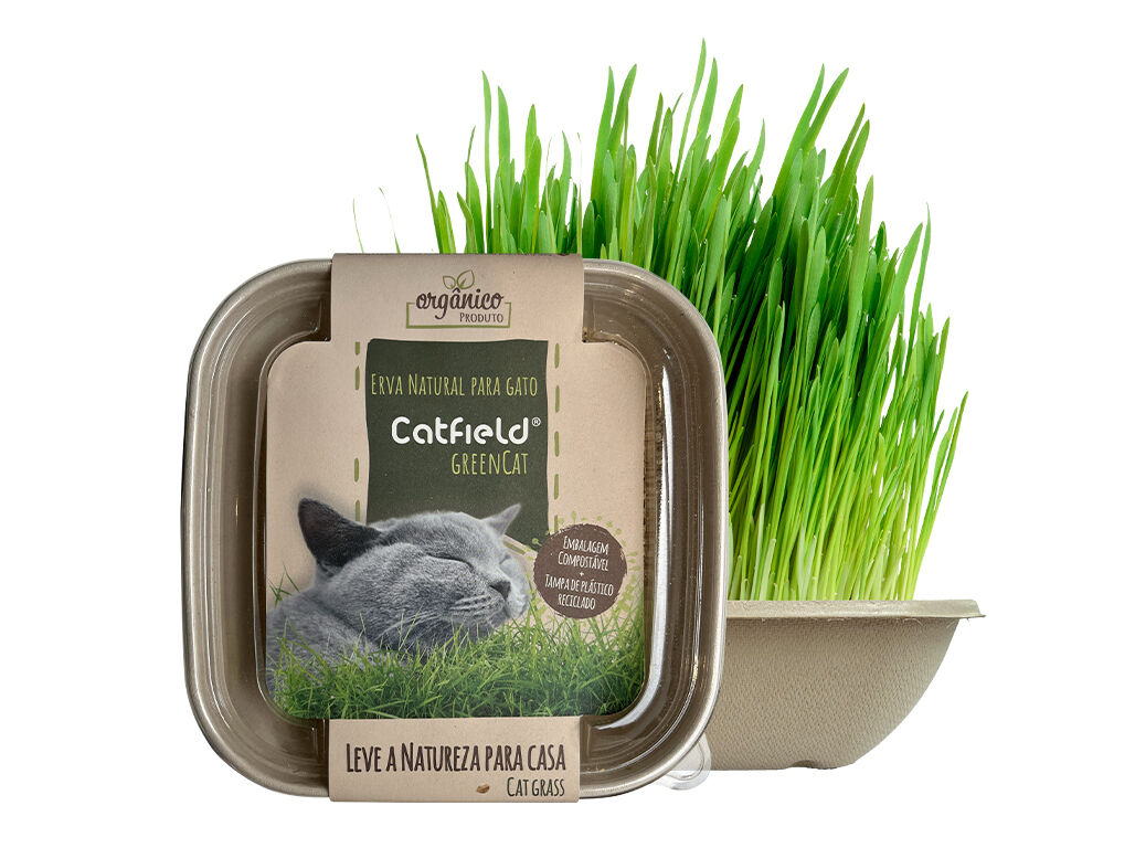 ERVA P/GATOS CATFIELD ORG&Acirc;NICA 80G