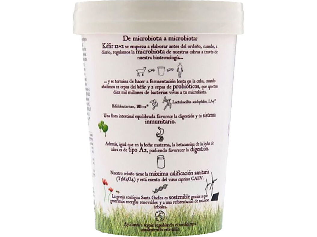 IOGURTE KEFIR SANTA GADEA 12+2 COM PROBI&Oacute;TICOS BIO 420G image number 1