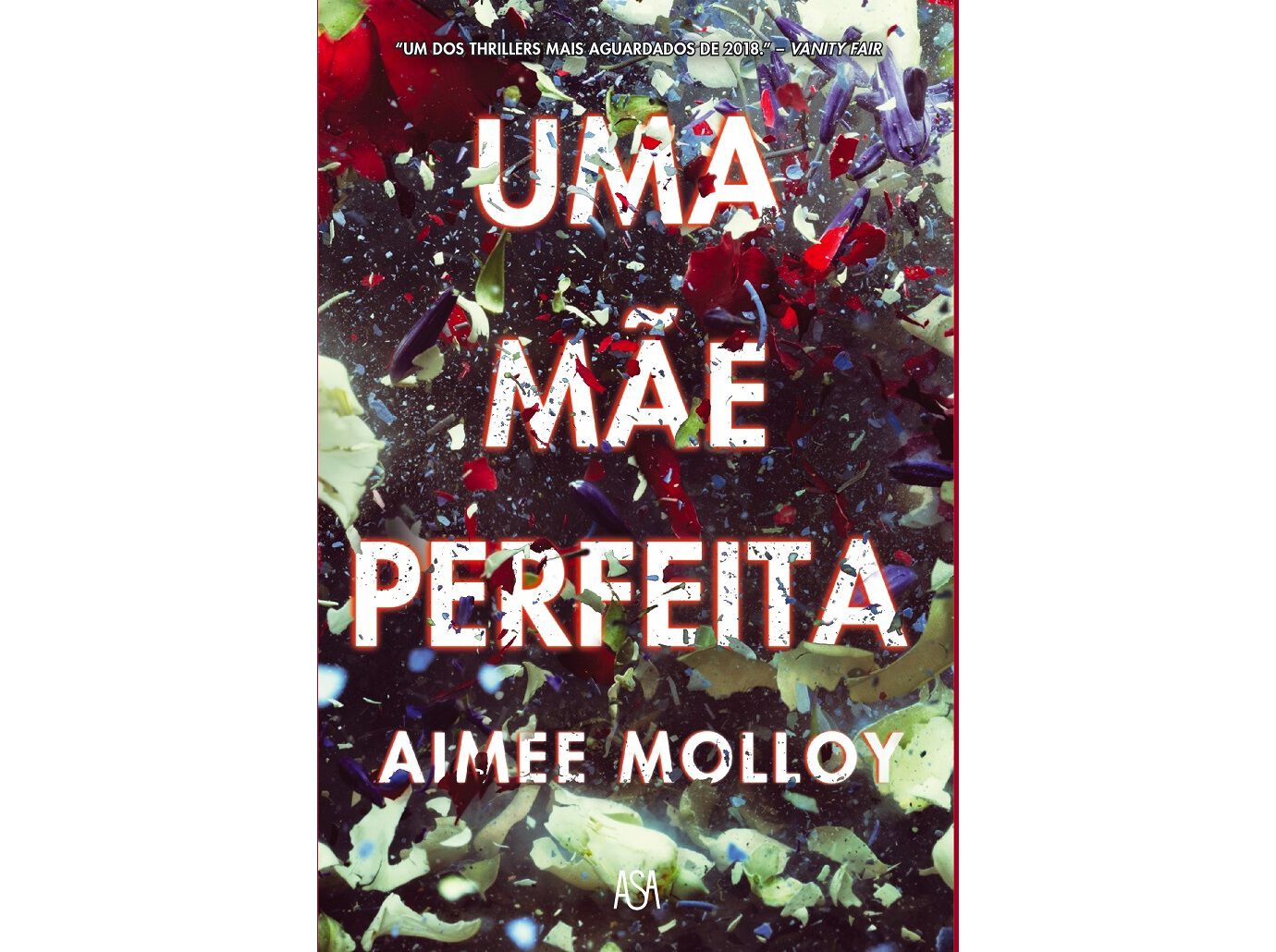 LIVRO UMA M&Atilde;E PERFEITA AIMEE MOLLOY image number 0