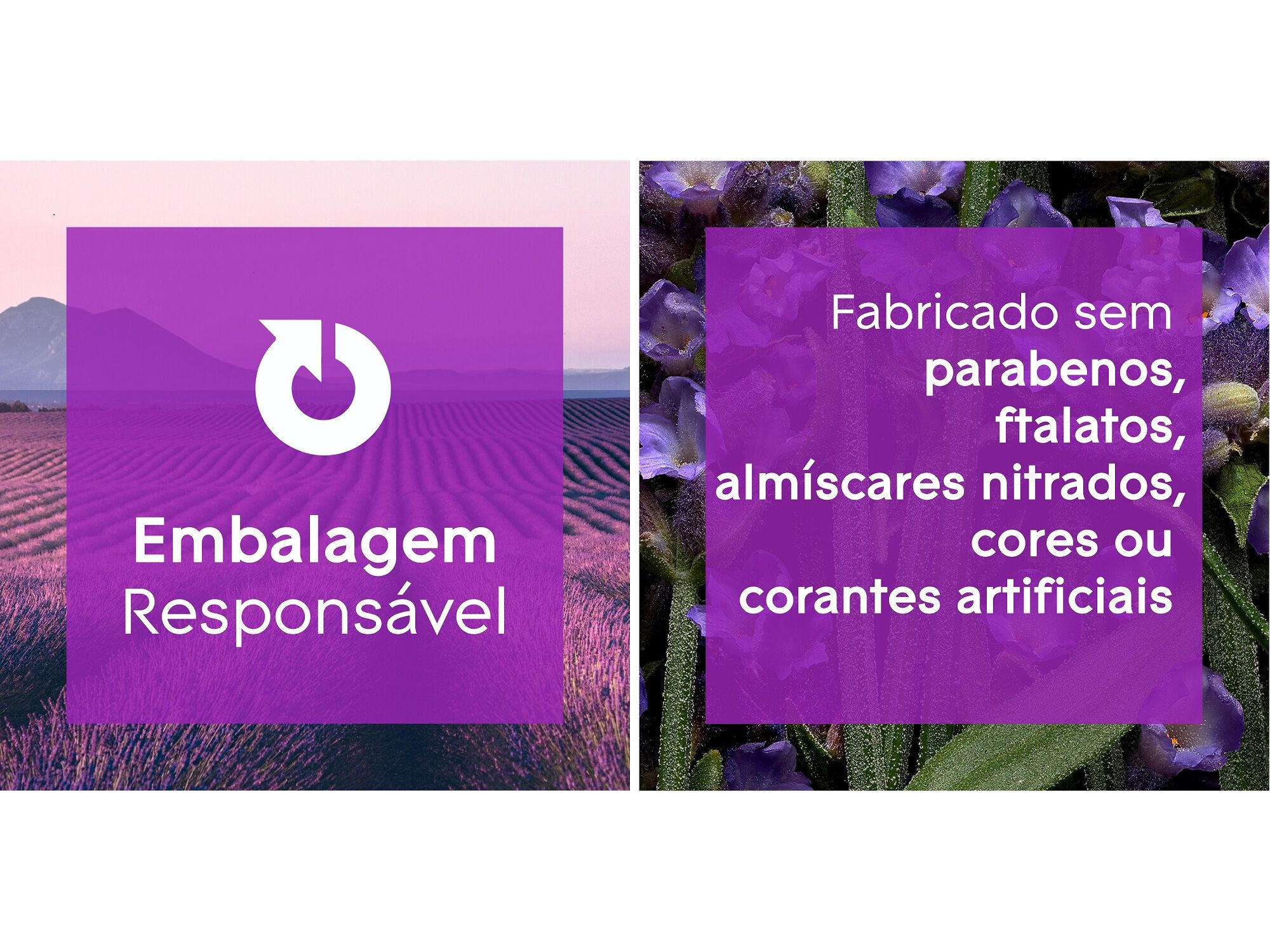 AMBIENTADOR APARELHO GLADE COOL MIST ZEN 1 UN image number 6