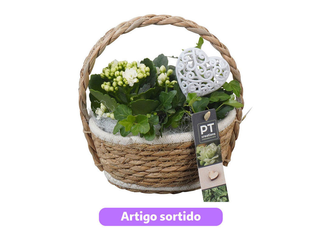 ARRANJO DIA DA M&Atilde;E EM CESTA CORES SORTIDAS