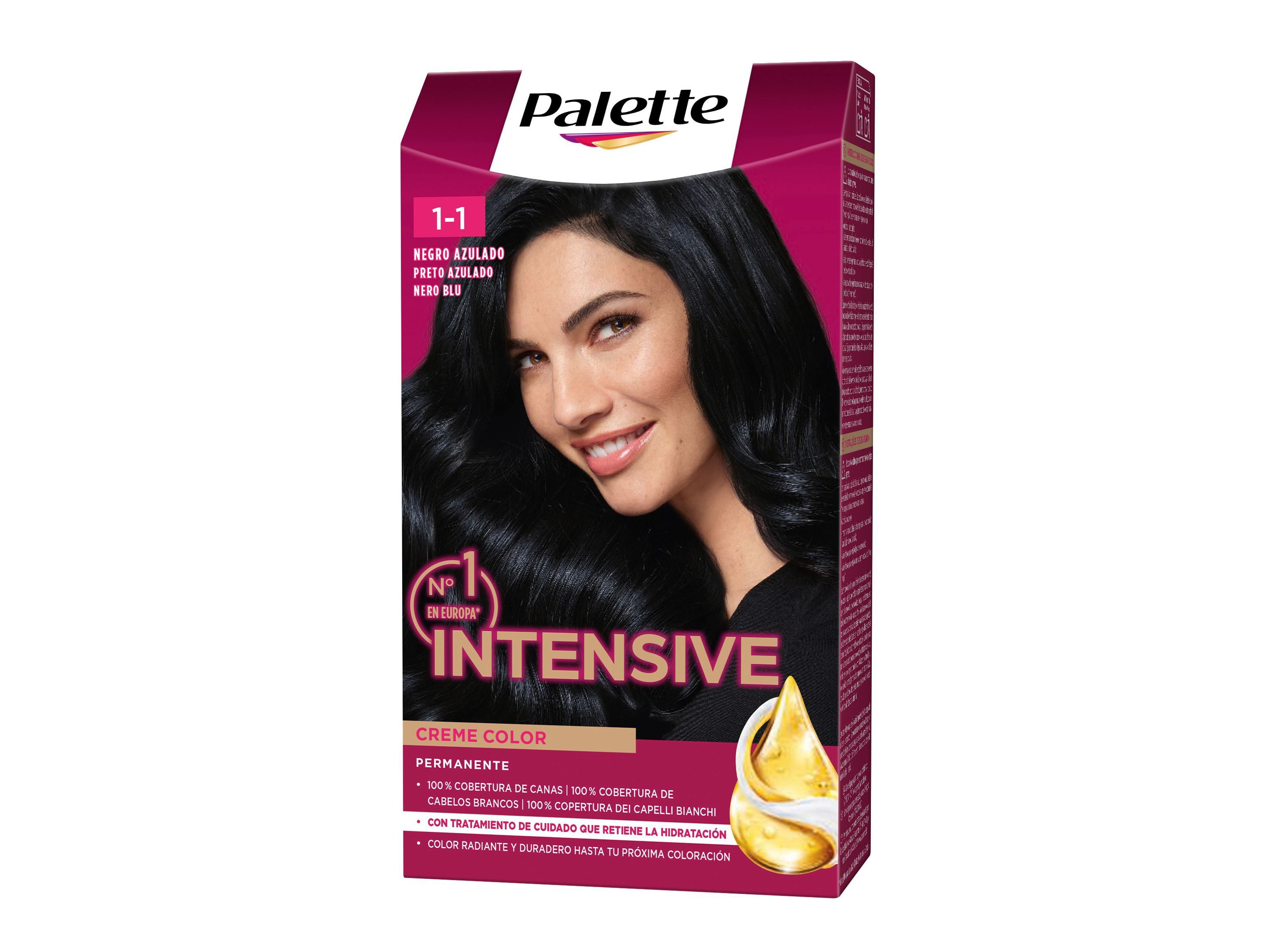 COLORA&Ccedil;&Atilde;O PALETTE 1.1 PRETO AZULADO