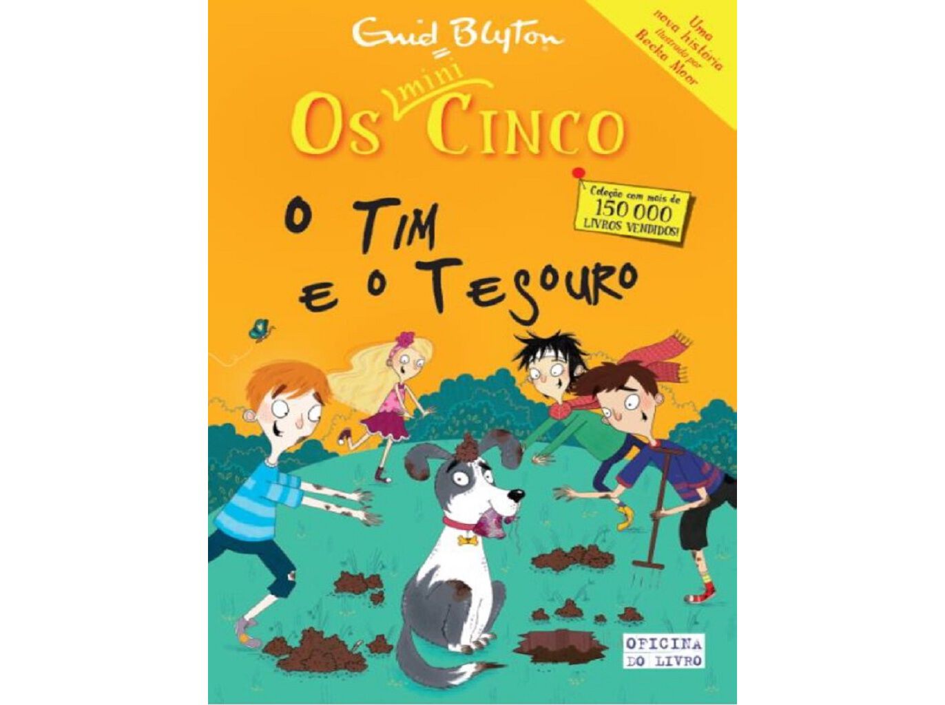 LIVRO OS MINI CINCO :N11 O TIM E O TESOURO image number 0