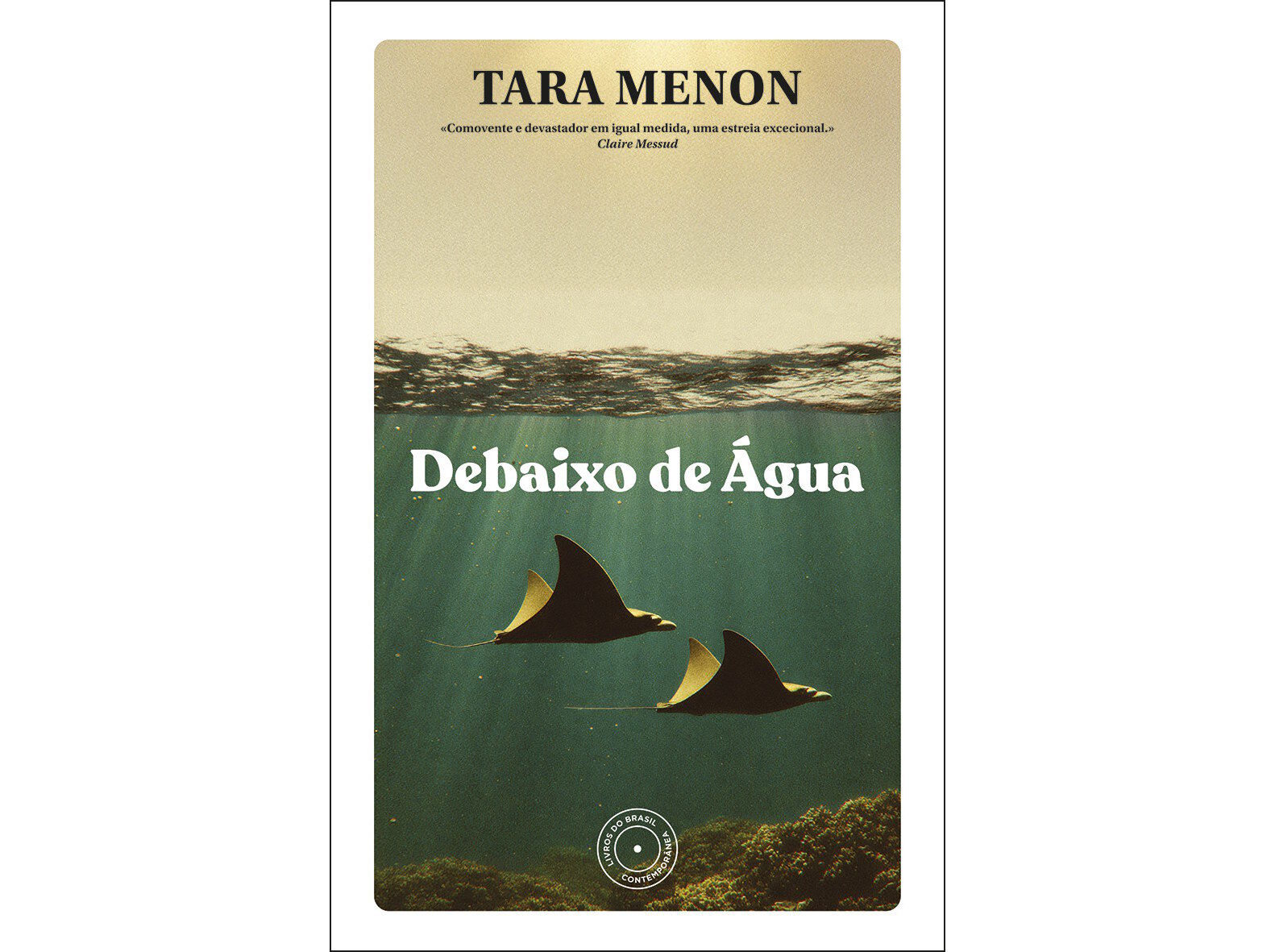 LIVRO DEBAIXO DE &Aacute;GUA DE TARA MENON image number 1