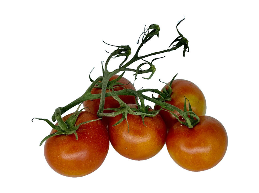 TOMATE MARMANDE BIO QUINTA DAS M&Eacute;LIAS KG PRODUTO LOCAL