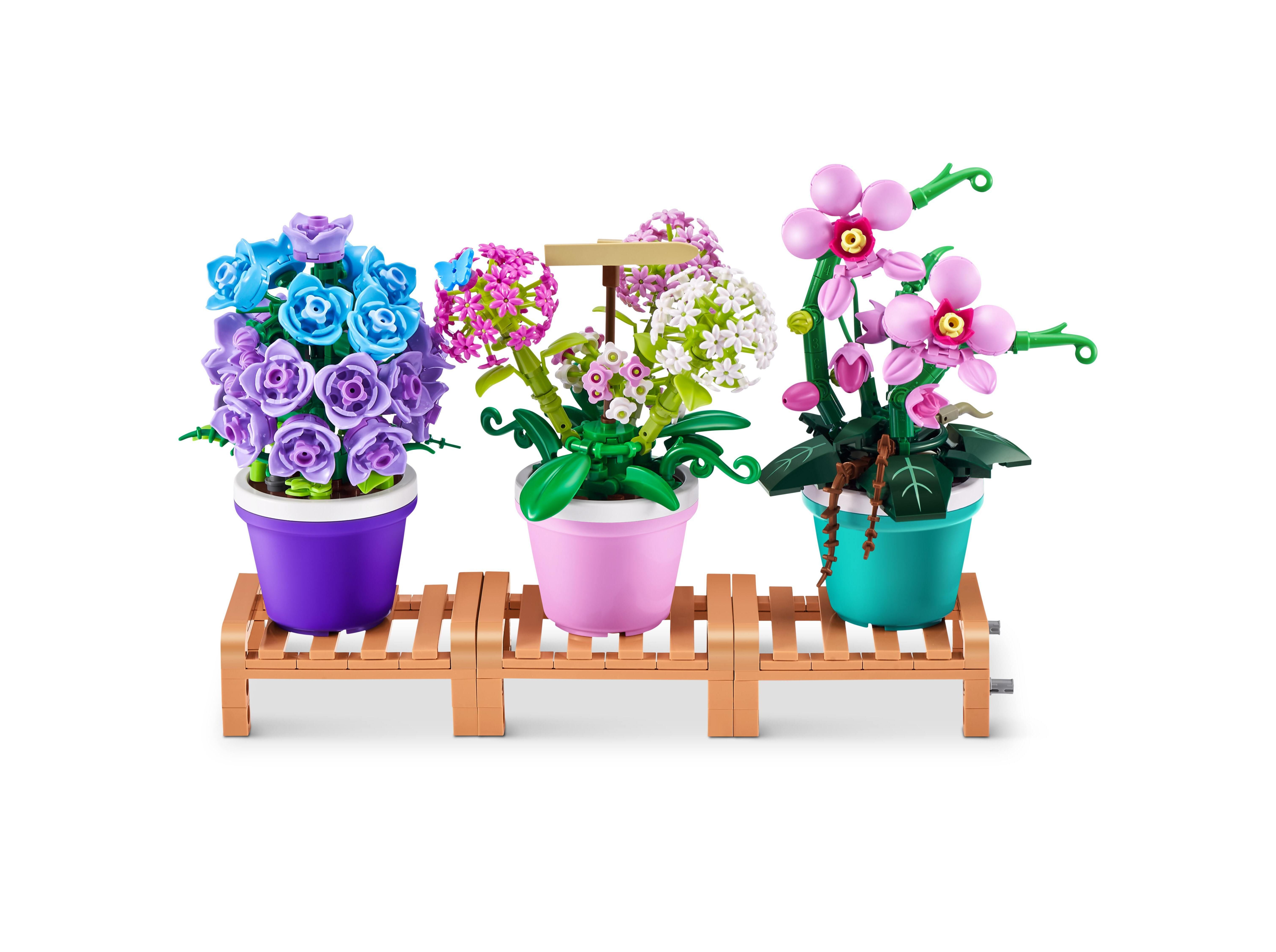 CAPSULA MAX GARDEN PREMIUM FLORES MAX MODELOS SORTIDOS image number 2