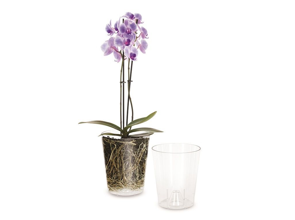 VASO PARA ORQUIDEA IN&OUT TRANSPARENTE 14X16CM image number 1