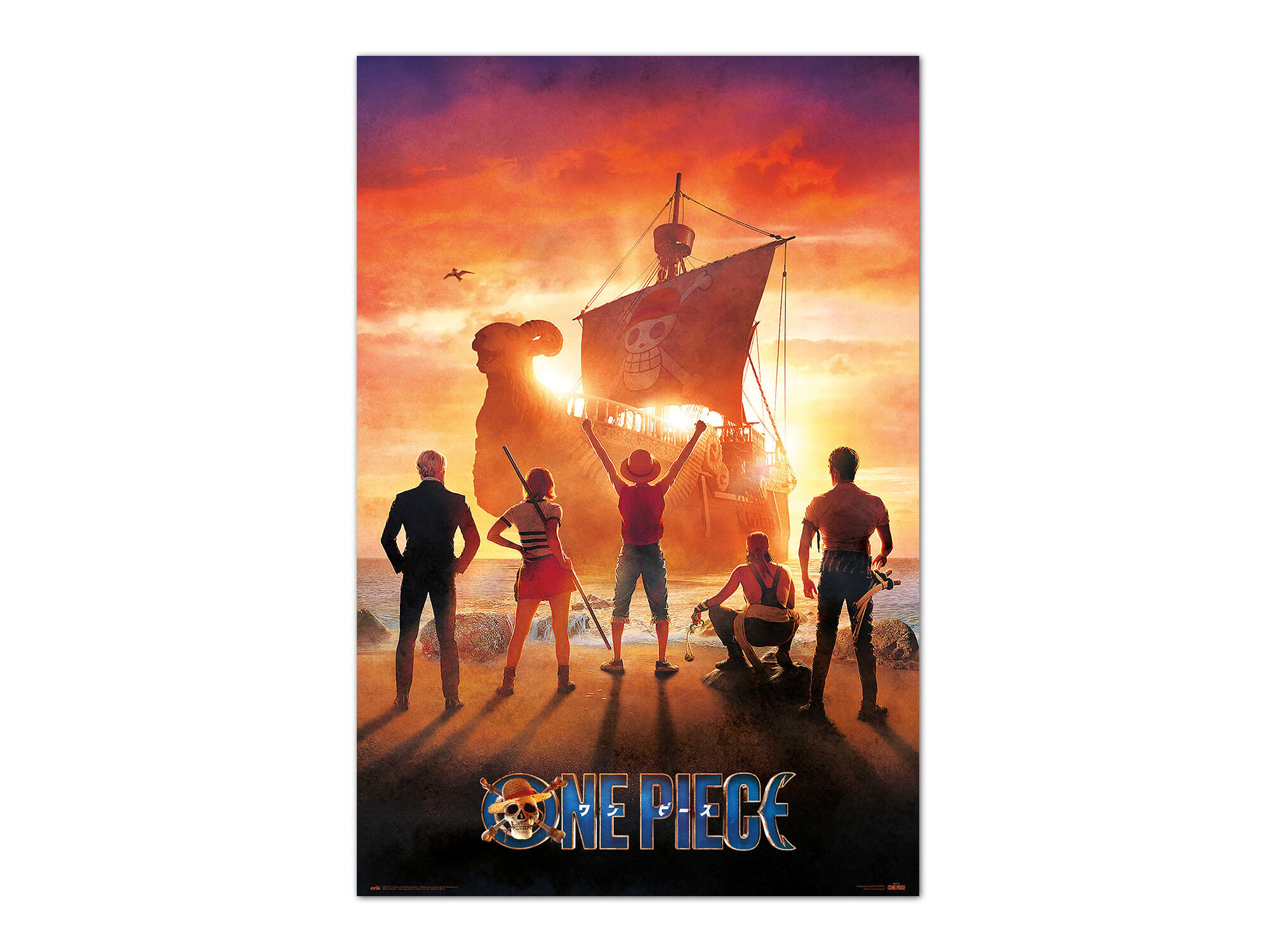 POSTER ONE PIECE PIRATES ERIK image number 0