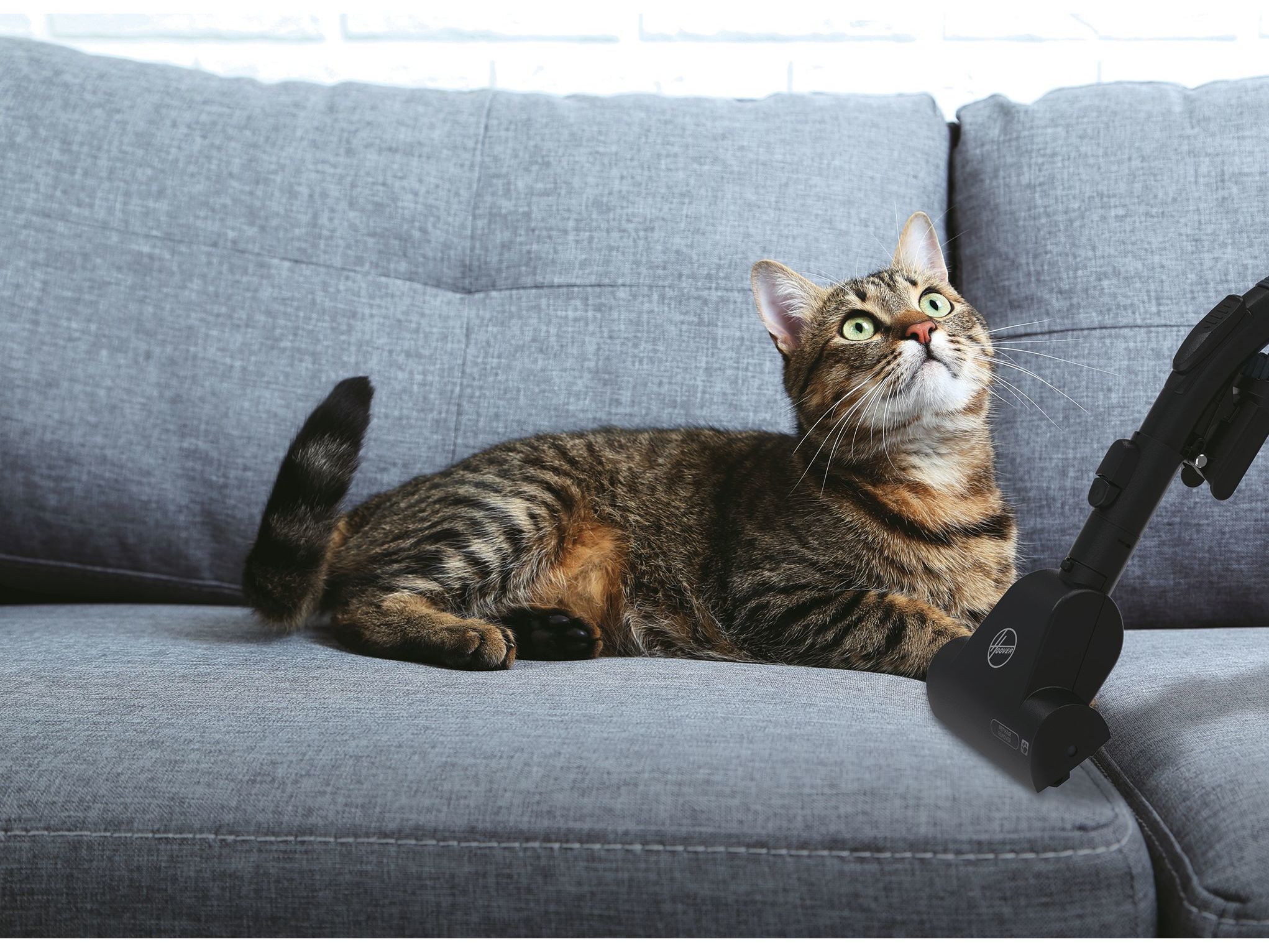 ASPIRADOR COM SACO HOOVER HE721PAF 011 image number 5