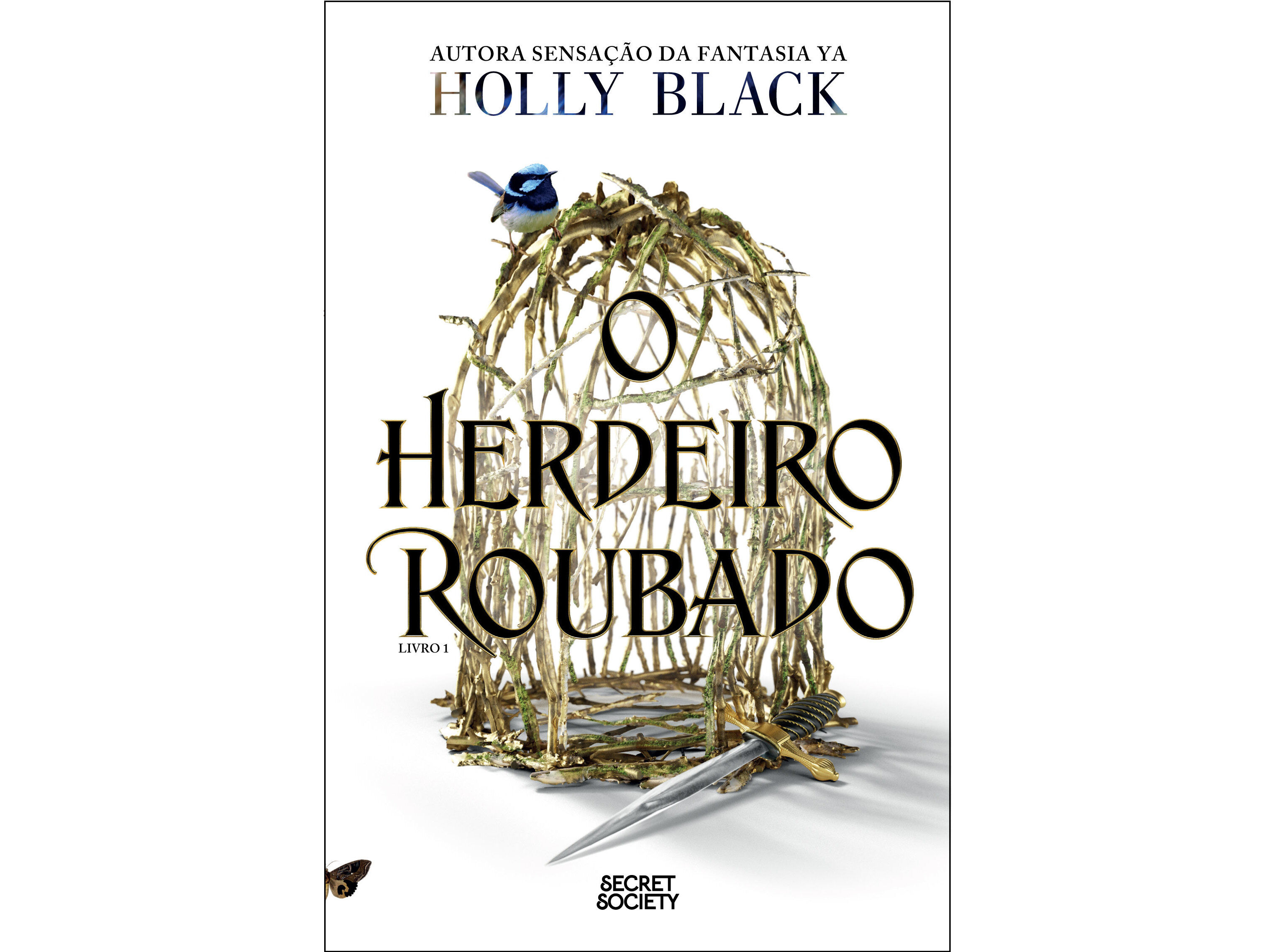 LIVRO O HERDEIRO ROUBADO DE HOLLY BLACK image number 0