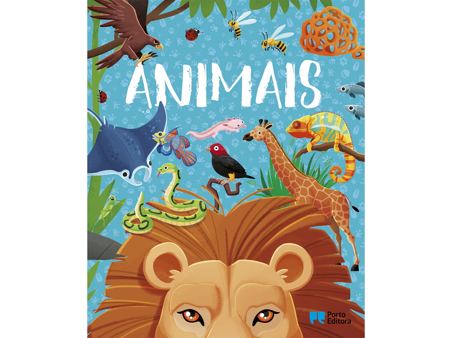 LIVRO ANIMAIS ENCICLOP&Eacute;DIA DOS CURIOSOS image number 1