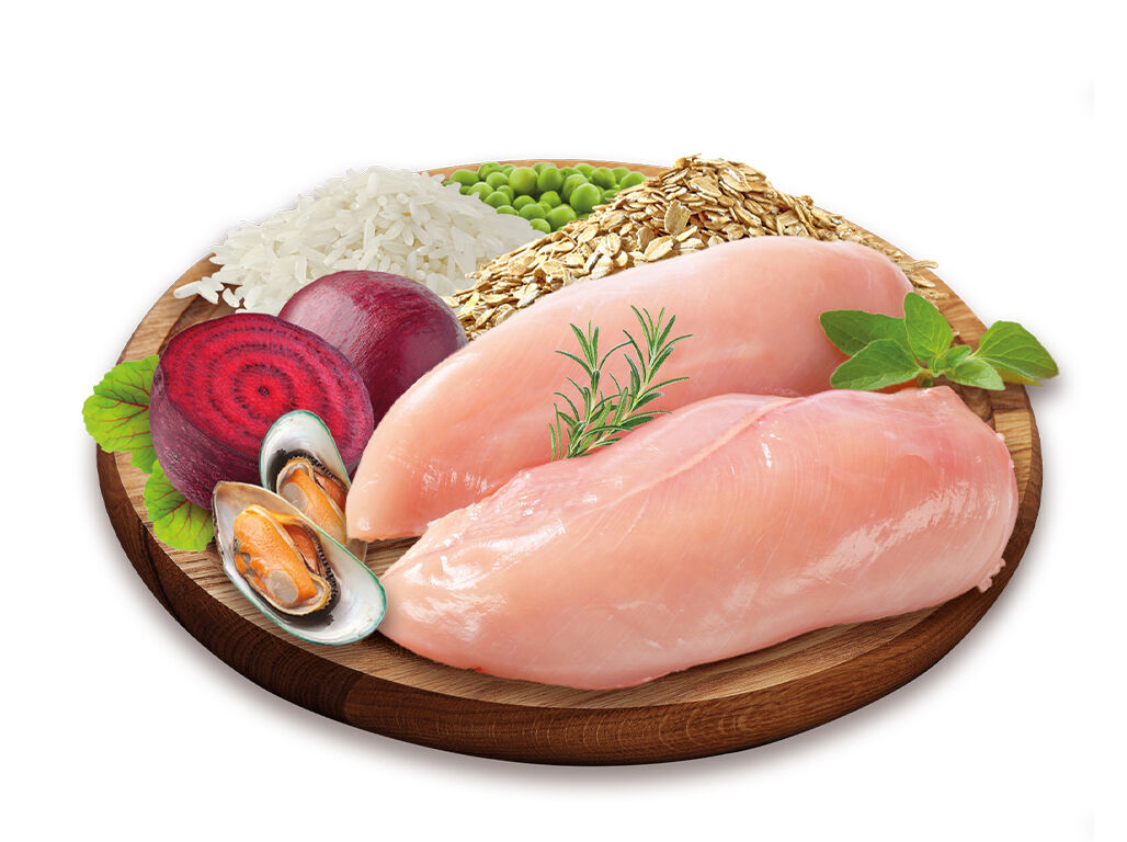 RA&Ccedil;&Atilde;O PARA C&Atilde;O PETFIELD PREMIUM PUPPY 4 KG image number 1