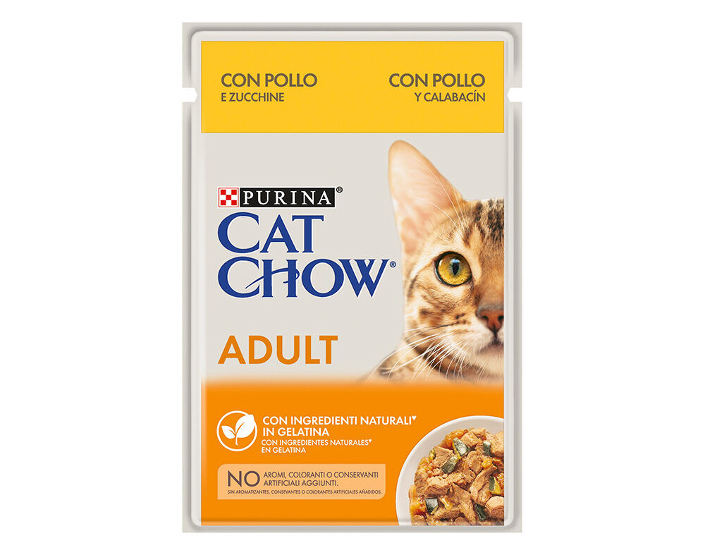 COMIDA H&Uacute;MIDA PARA GATO CAT CHOW COM FRANGO E COURGETE 0.85G