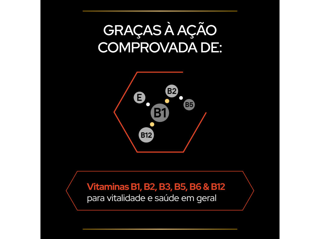 SUPLEMENTO PARA C&Atilde;O PRO PLAN MULTIVITAMINAS 67G image number 3