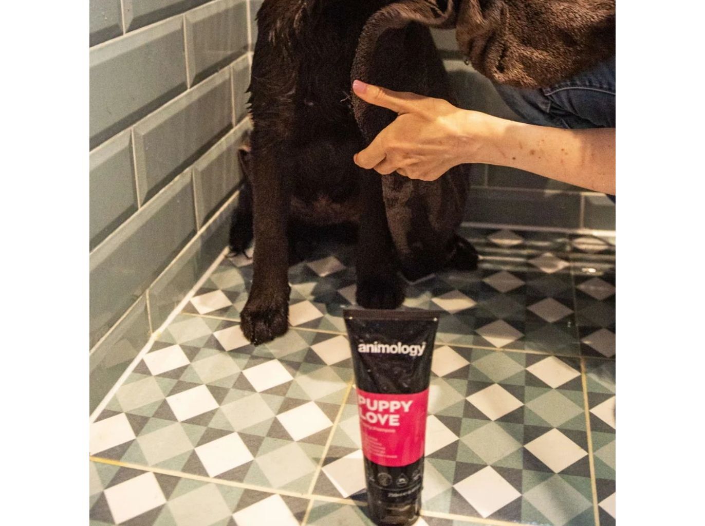 CHAMP&Ocirc; C&Atilde;O ANIMOLOGY PUPPY LOVE 250ML image number 1