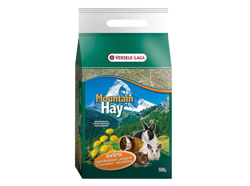 FENO DA MONTANHA DENTE DE LE&Atilde;O 500G