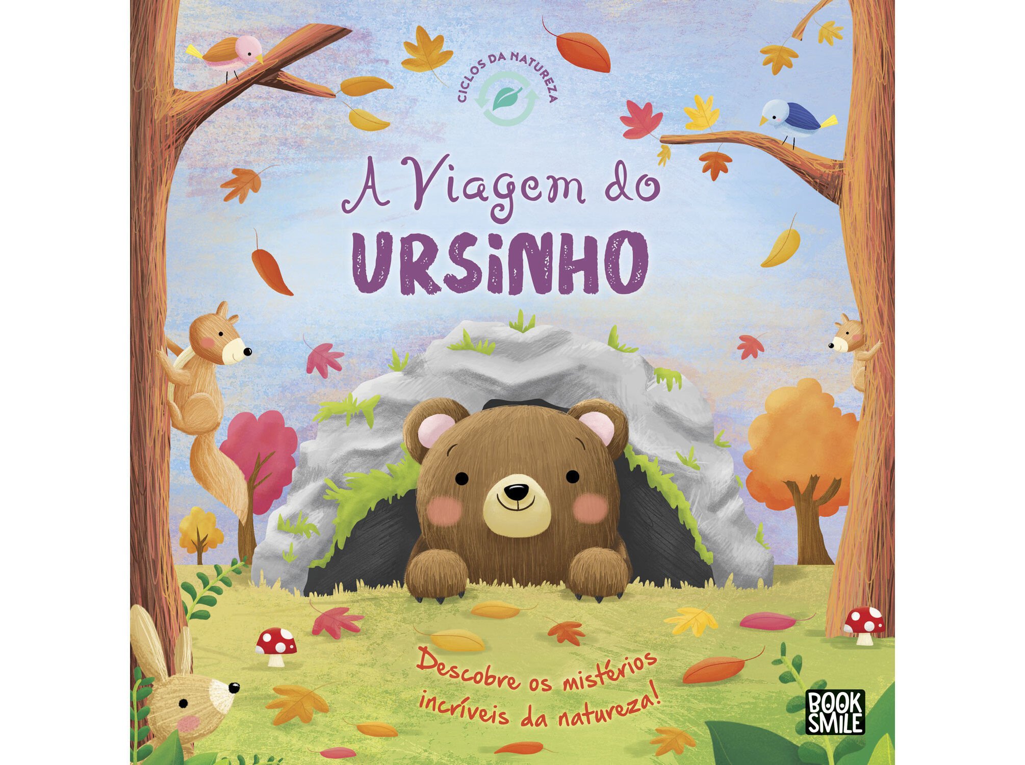 LIVRO CICLOS DA NATUREZA 10 - A VIAGEM DO URSINHO image number 0