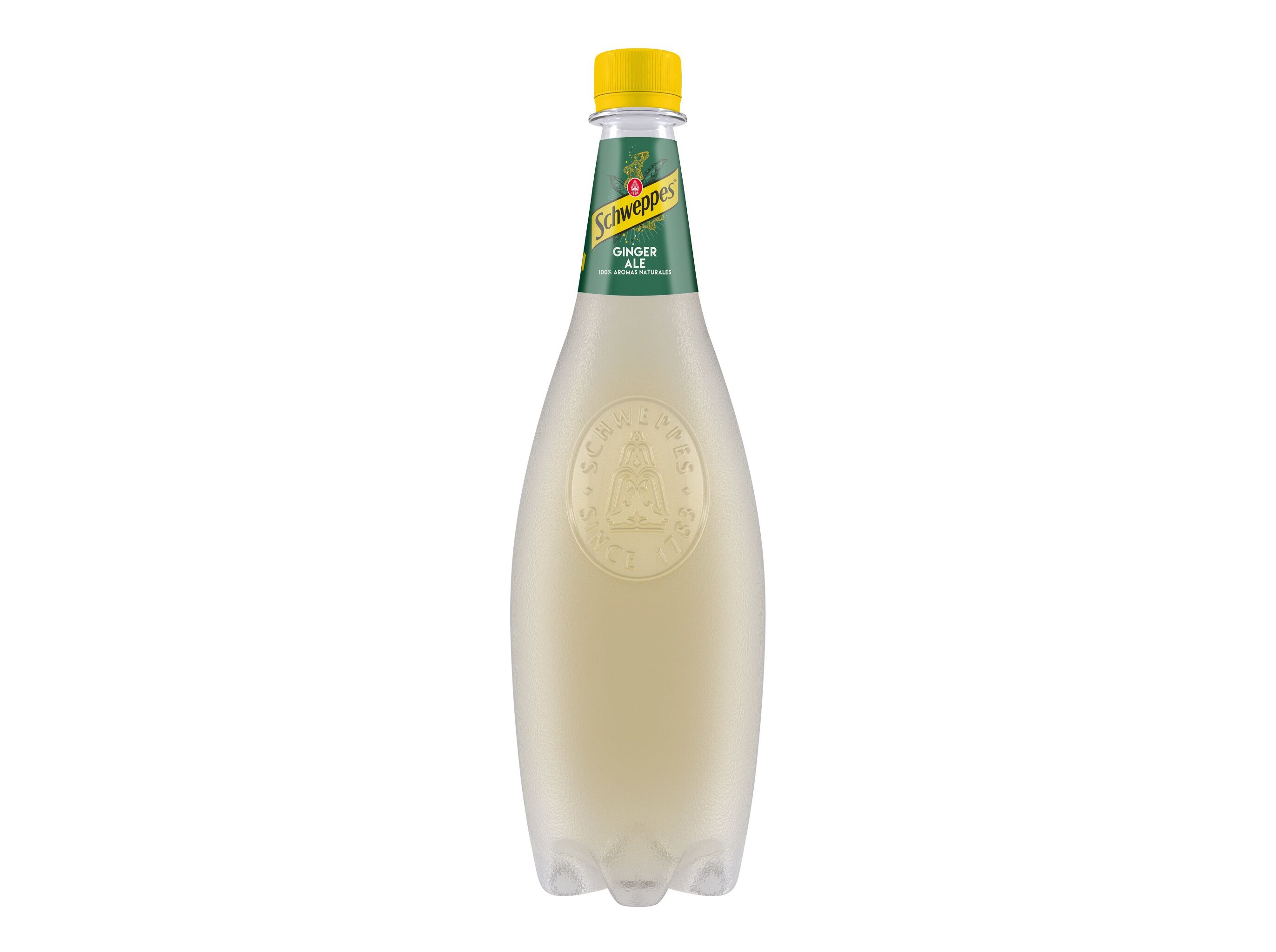 GINGER ALE SCHWEPPES 1L