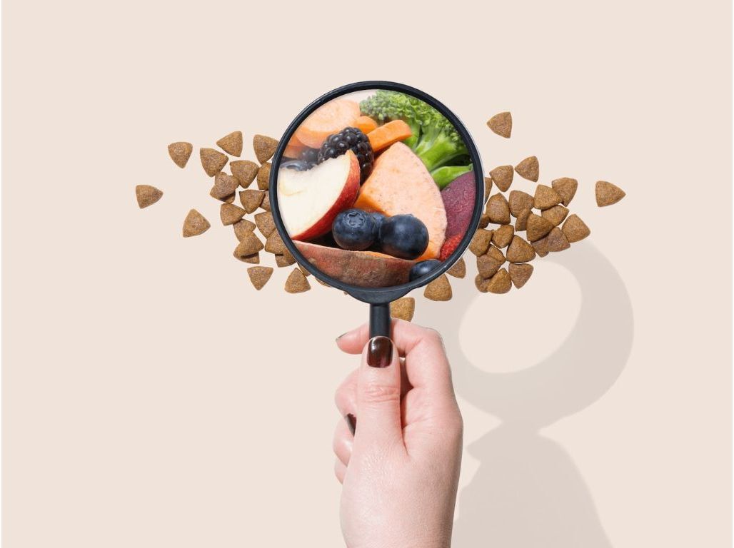 RA&Ccedil;&Atilde;O PARA C&Atilde;O NATURAL BARKYN LOW GRAIN PUPPY 3KG image number 1