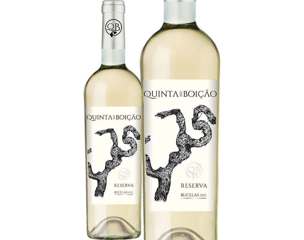 VINHO BRANCO QUINTA DO BOI&Ccedil;&Atilde;O RESERVA LISBOA 0.75L image number 0