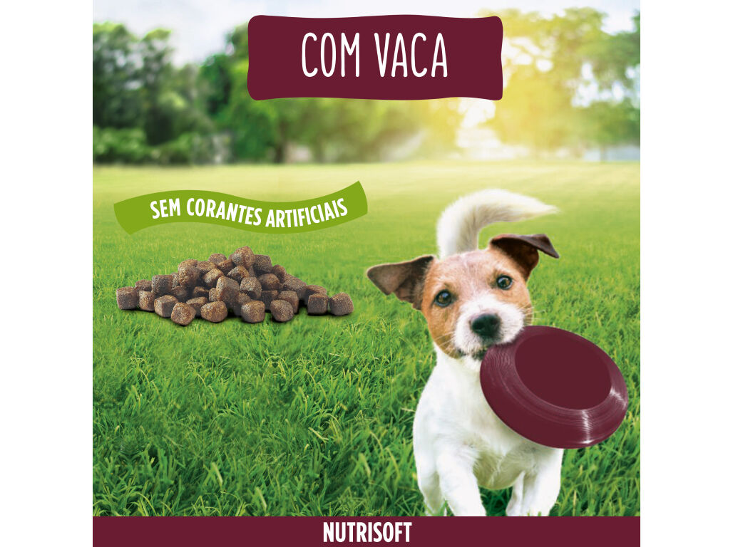 RA&Ccedil;&Atilde;O PARA C&Atilde;O FRISKIES MINI MENU NUTRI SOFT COM VACA 1.4KG image number 2