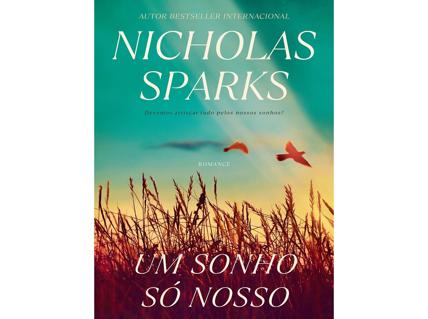 LIVRO UM SONHO S&Oacute; NOSSO :DE NICHOLAS SPARKS image number 1