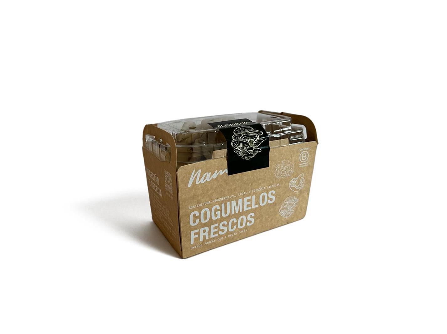 COGUMELOS PLEUROTUS (L) 200G