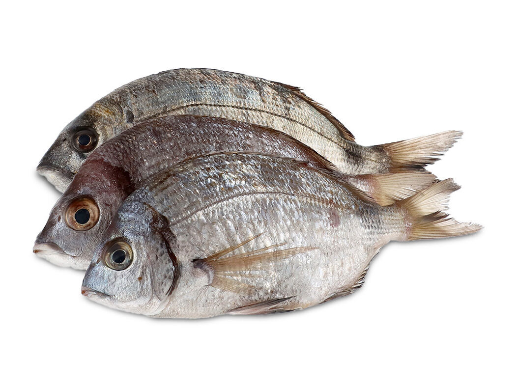 SAFIAS KG image number 0