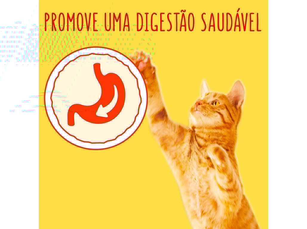 RA&Ccedil;&Atilde;O PARA GATO FRISKIES COM VACA E FRANGO 2KG image number 3