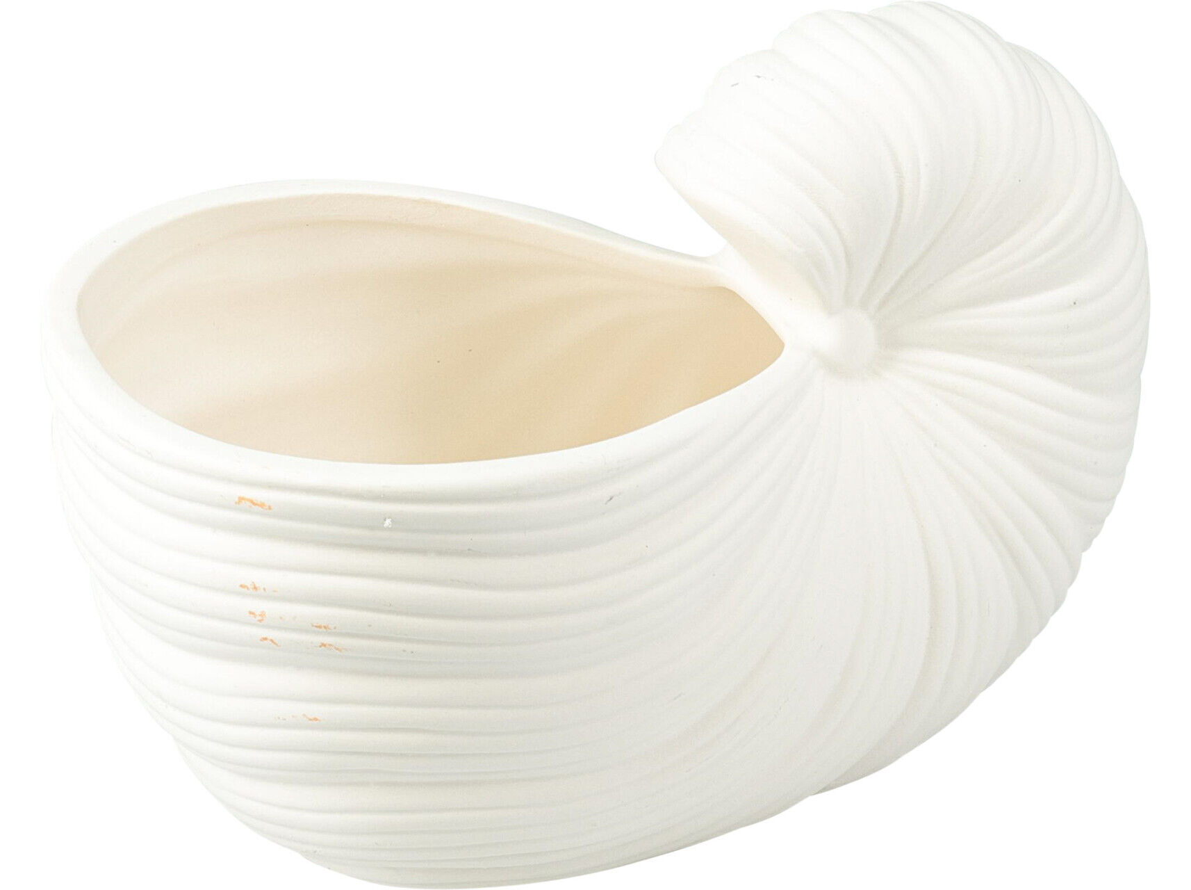VASO CONCHA 20X12X10CM image number 1
