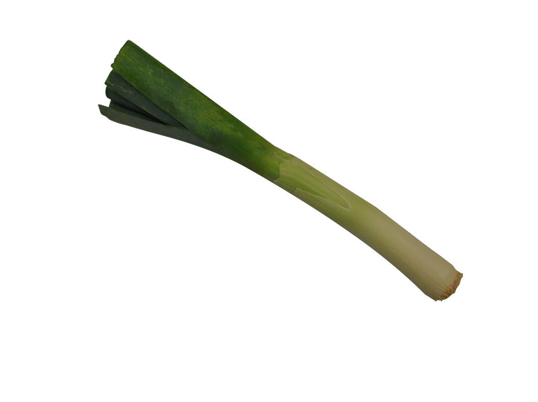 ALHO FRANC&Ecirc;S BIO KG