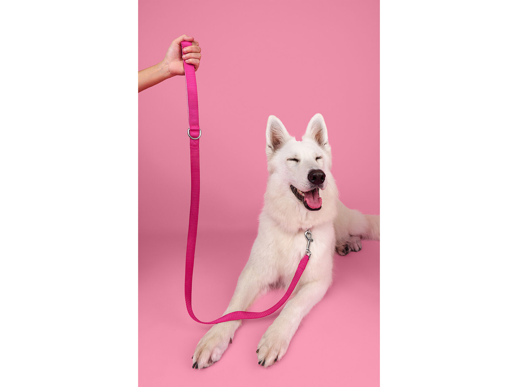 TRELA PARA C&Atilde;O DASHI ELEMENTS PINK L image number 1