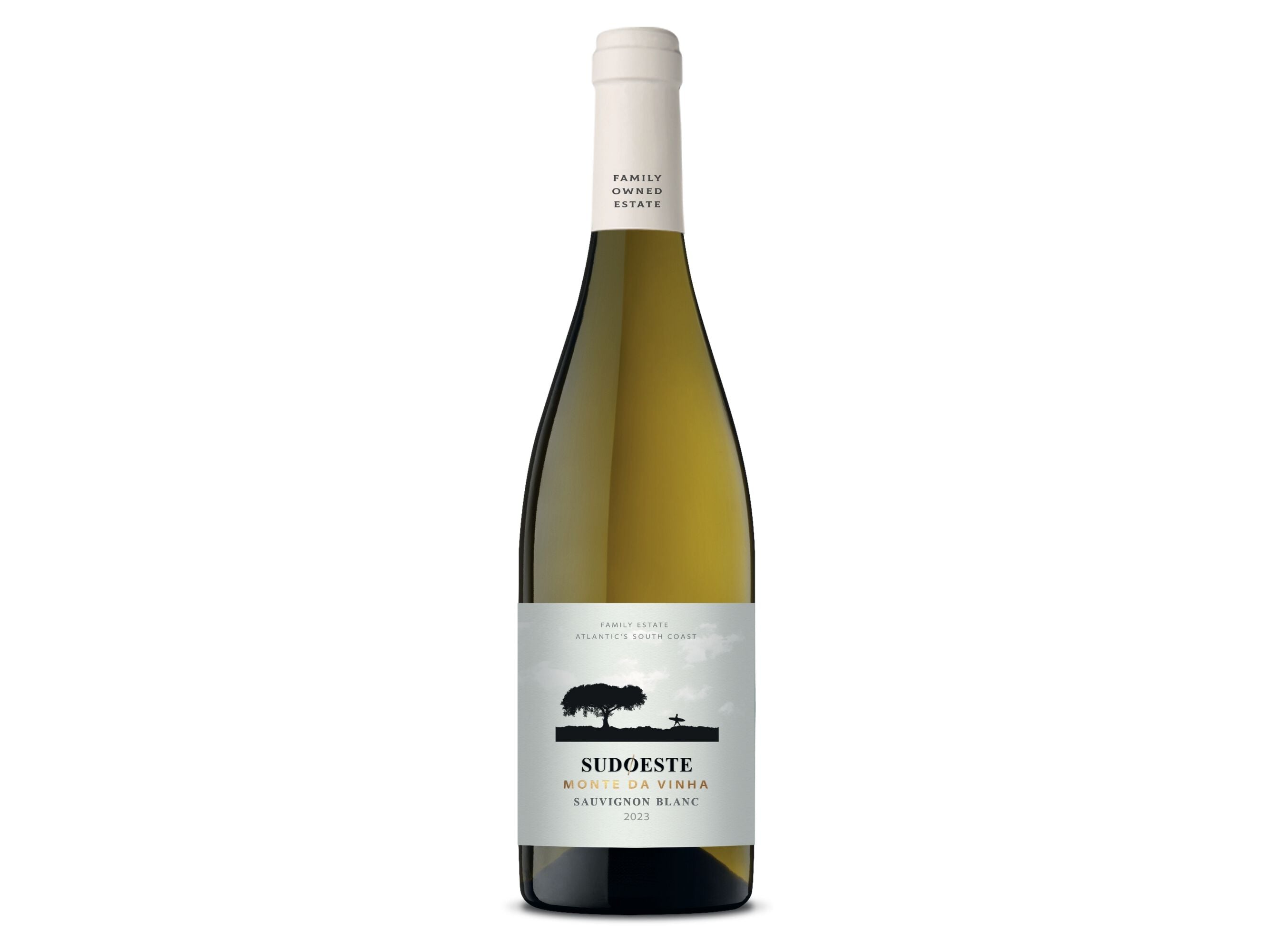 VINHO BRANCO SUDOESTE SET&Uacute;BAL SAUVIGNON 0.75L image number 0