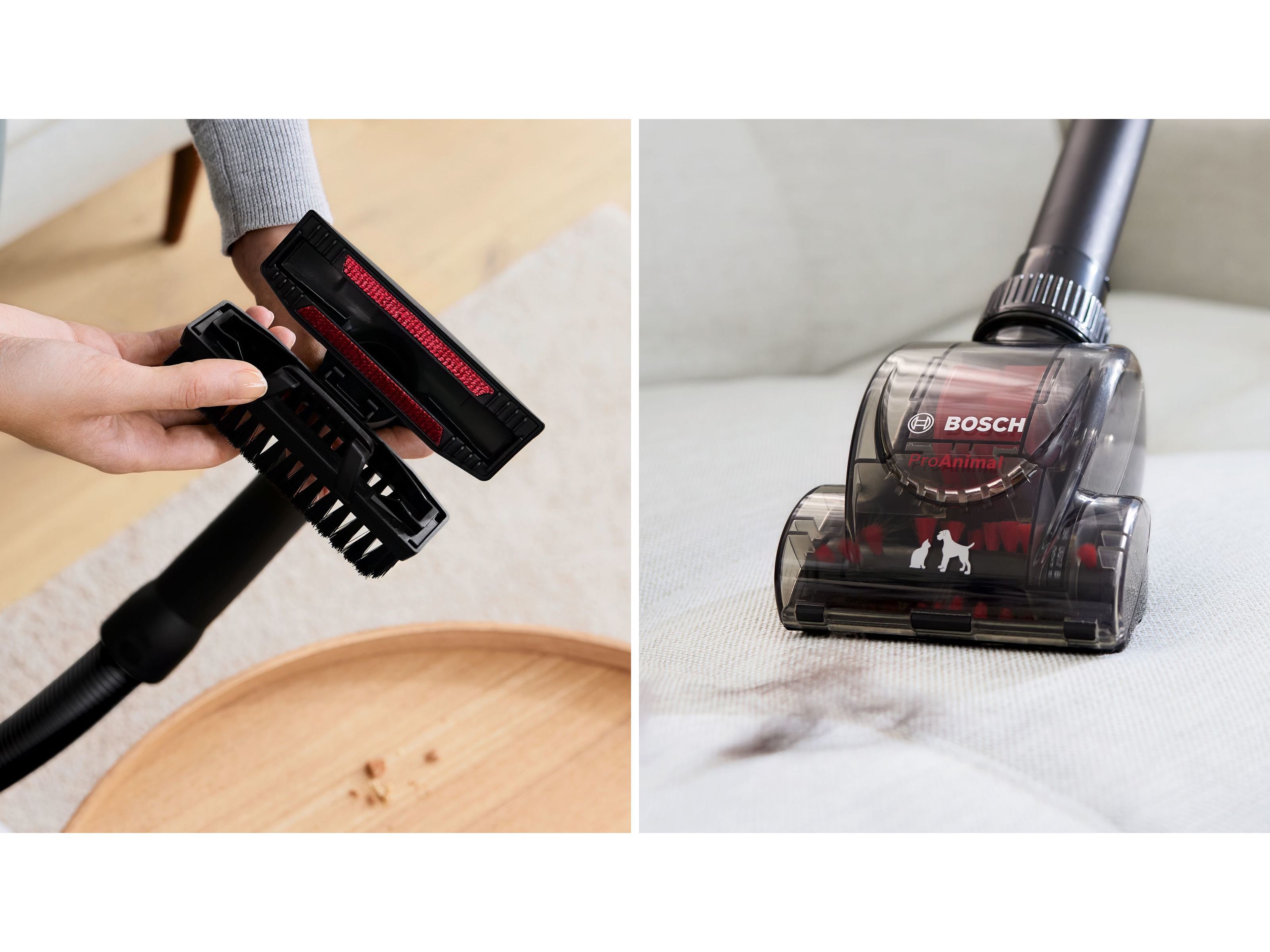 ASPIRADOR SEM SACO BOSCH BGS7PET1 PROANIMAL SERIE 8 image number 3