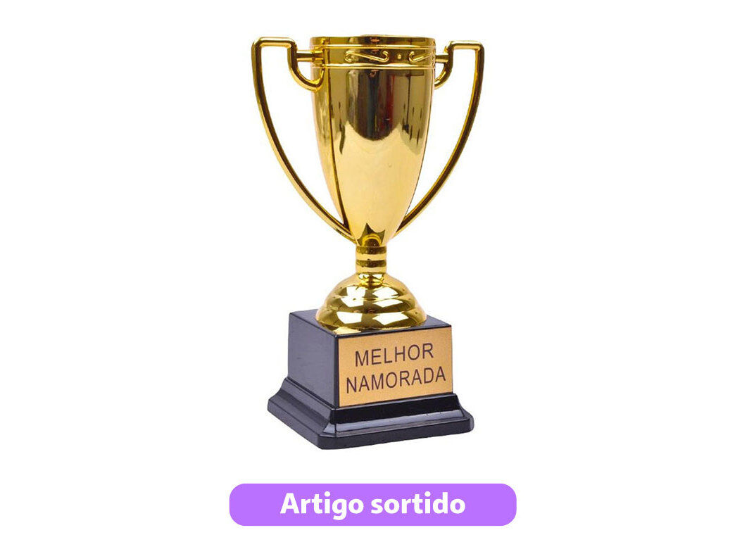 TROFEU DO AR MELHOR NAMORADA MODELOS SORTIDOS