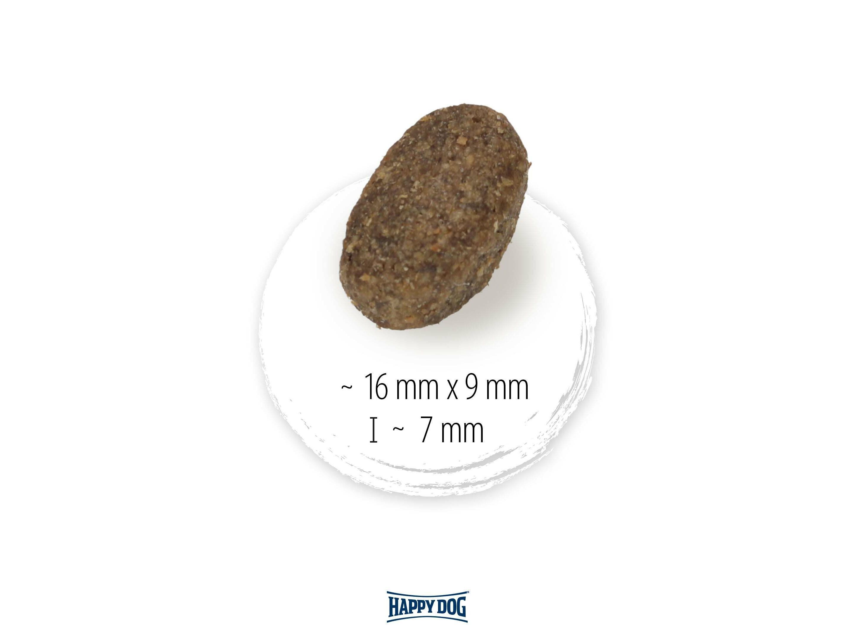 RA&Ccedil;&Atilde;O C&Atilde;O HAPPY DOG NATURCROQ BORREGO 4 KG image number 1