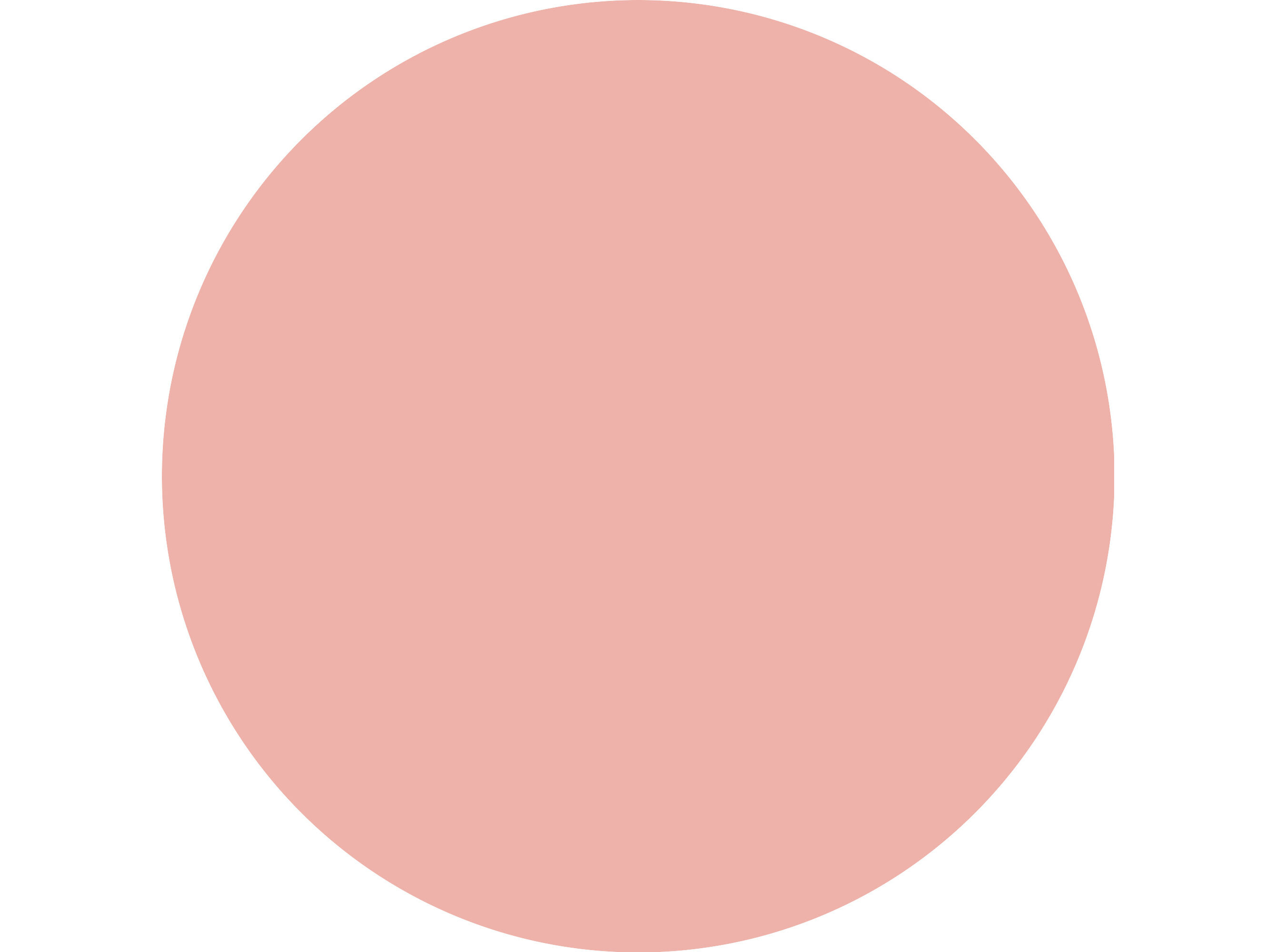 LIP OIL ESSENCE ROSA JUICY BOMB PARTY 03 image number 4