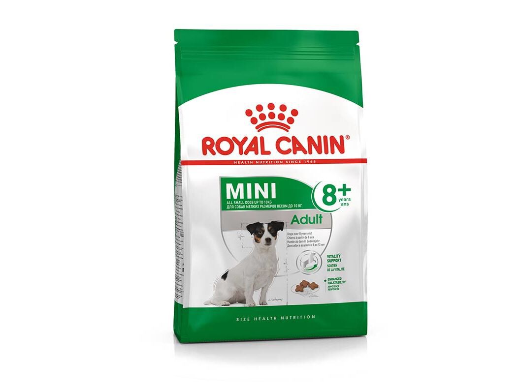 RA&Ccedil;&Atilde;O C&Atilde;O ROYAL CANIN MINI ADULT +8 4KG