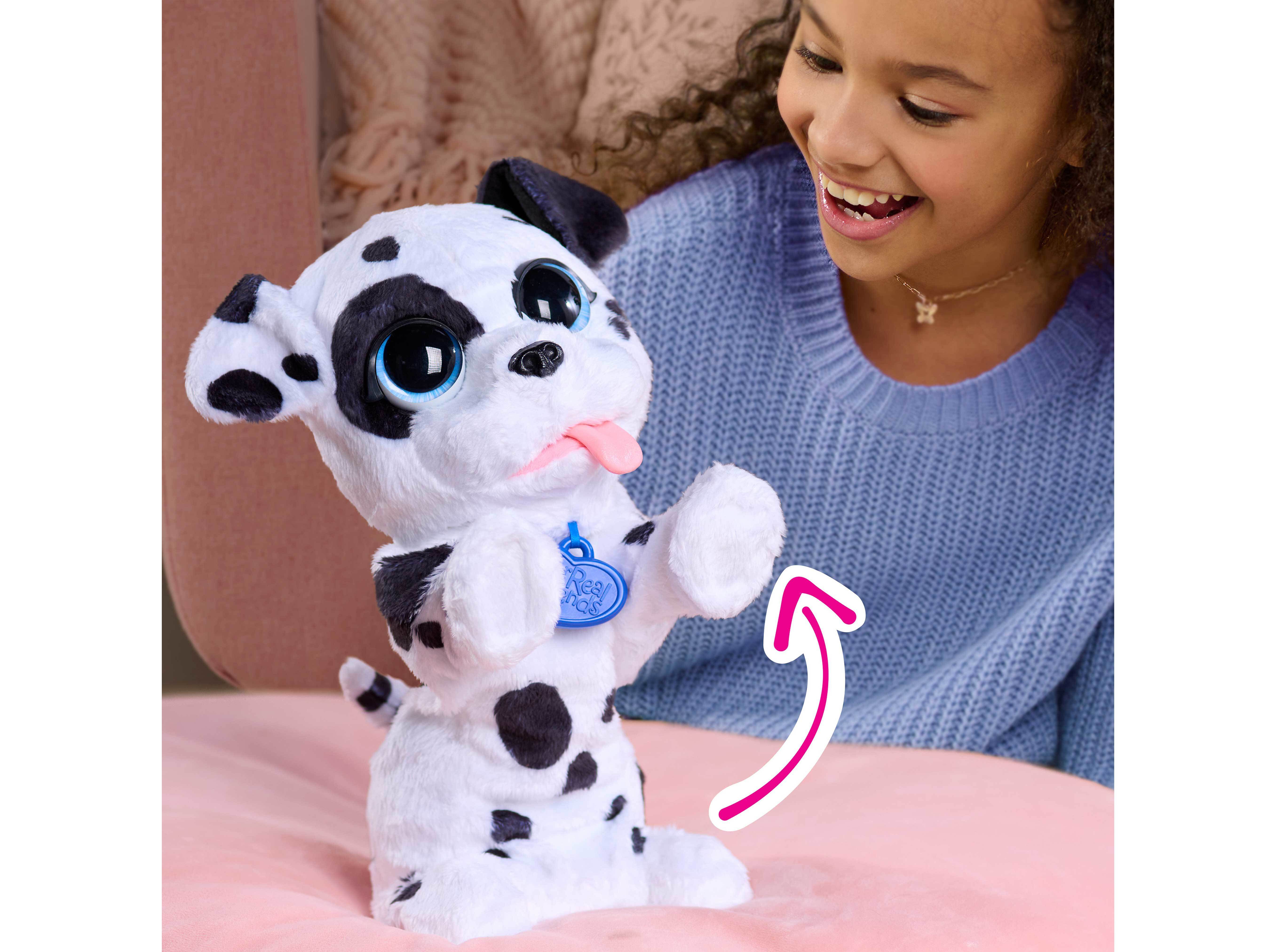 DALMATA DAN&Ccedil;ARINO FURREAL image number 4