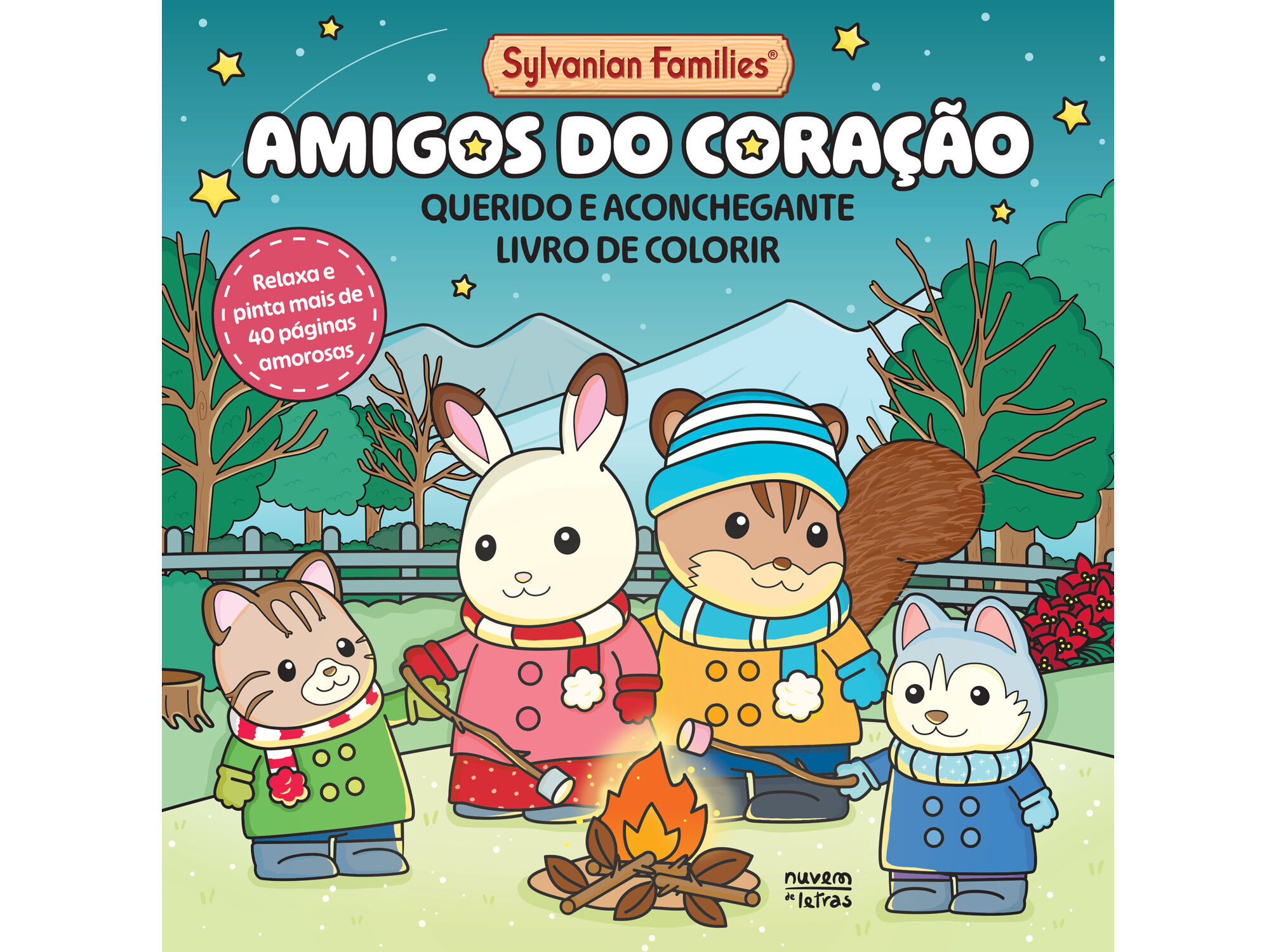 LIVRO SYLVANIAN FAMILIES AMIGOS DO CORA&Ccedil;&Atilde;O: LIVRO DE CO image number 0