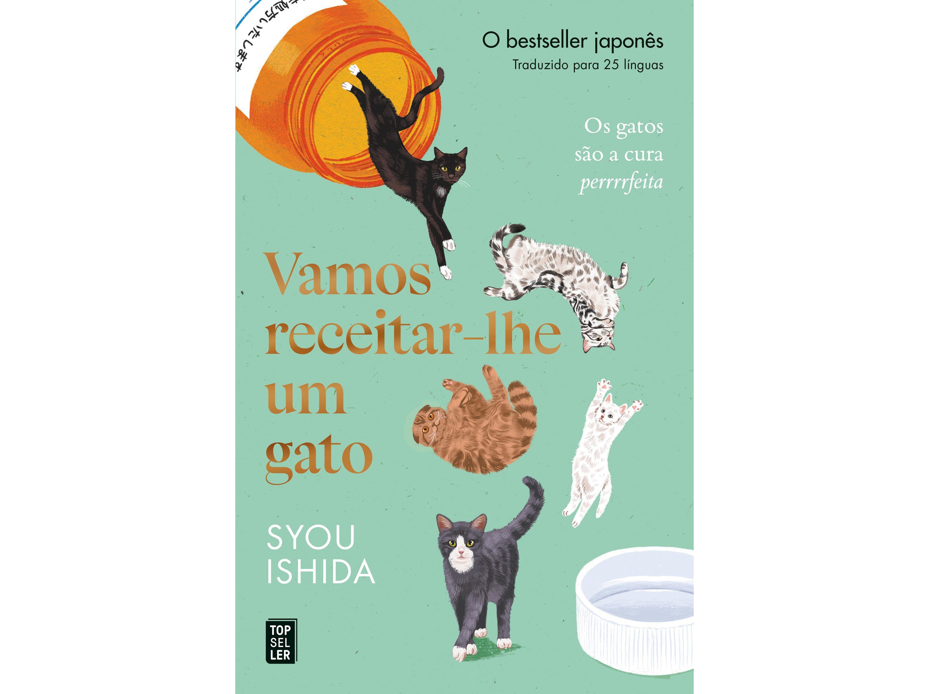 LIVRO VAMOS RECEITAR-LHE UM GATO DE SYOU ISHIDA image number 0