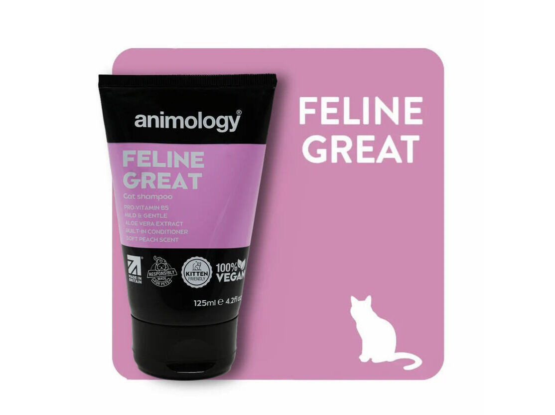 CHAMP&Ocirc; GATO ANIMOLOGY FELINE GREAT 125ML image number 1