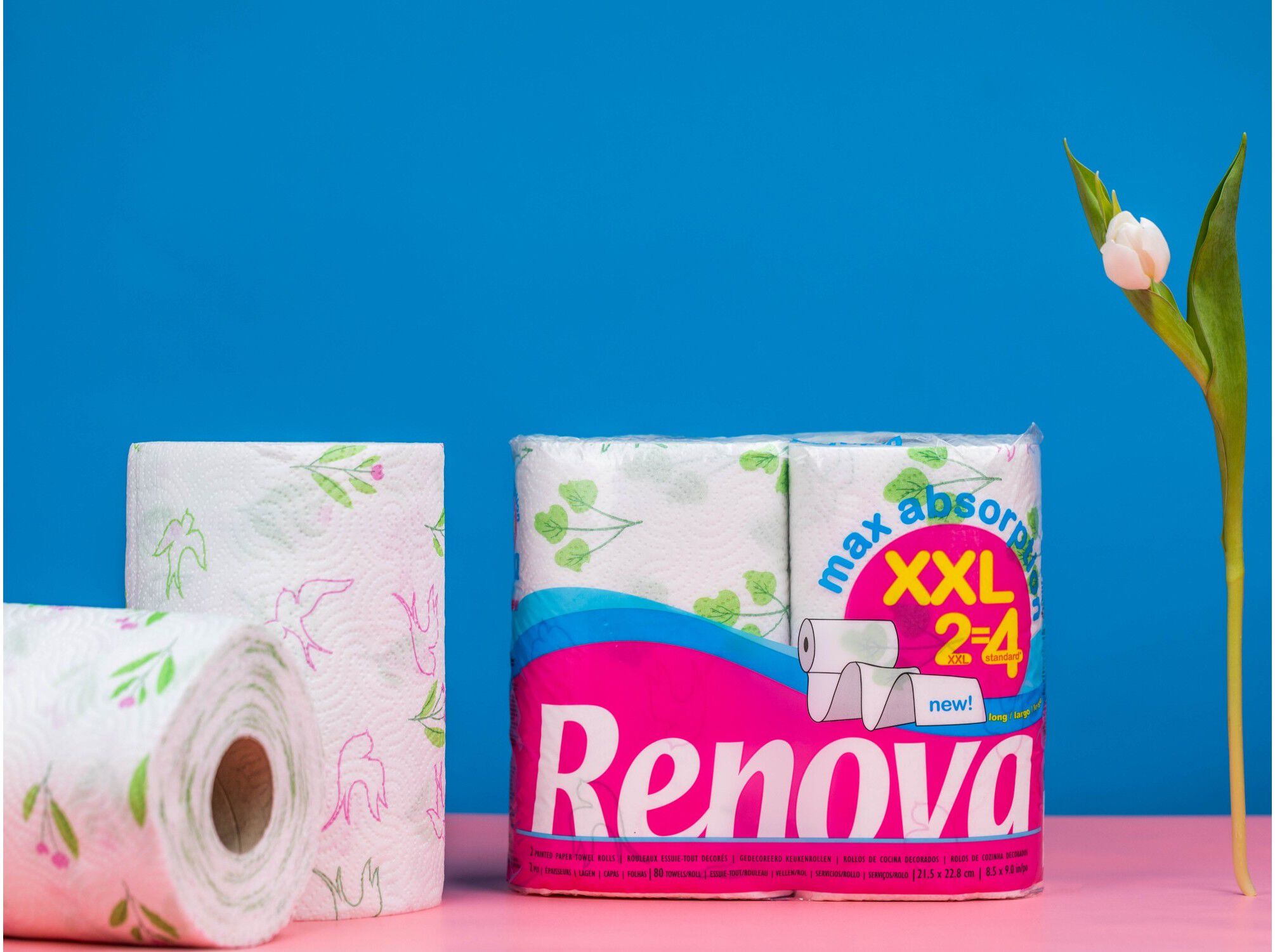 ROLO RENOVA COZINHA ABSORPTION XXL 2=4 UNIDADES image number 1