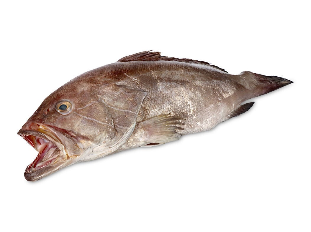 GAROUPA LEG&Iacute;TIMA M&Eacute;DIA KG image number 0